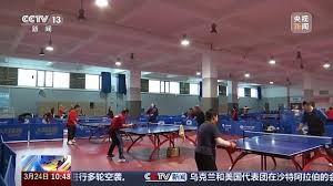 pa视讯 乒乓球台单位叫什么